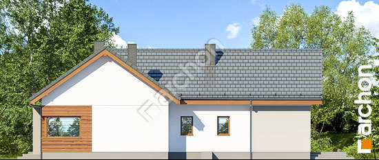 Боковой фасад Дом в галах 4