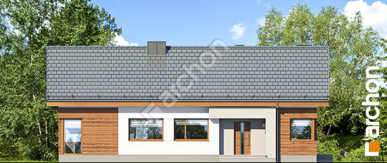 Передний фасад Дом в галах 4