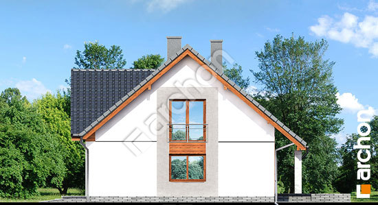 Боковой фасад Дом в ипомеях