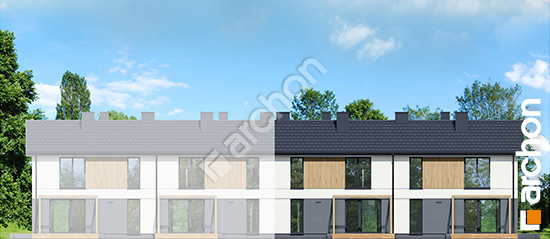 Дворовий фасад Будинок в еверніях 4 (Р2БА) вер.2