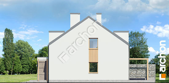 Боковой фасад Дом в клематисах 20 (БН) вер. 2