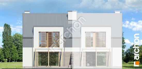 Дворовий фасад Будинок в клематисах 20 (БН) вер. 2