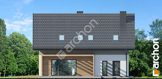 Дворовий фасад Будинок в яблонках 23