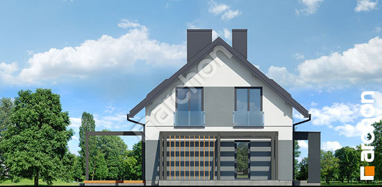 Бочний фасад Будинок в ареках