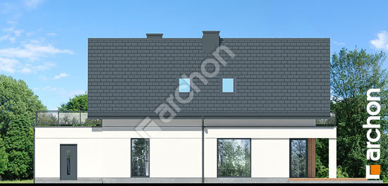 Дворовий фасад Будинок в шишковиках 4