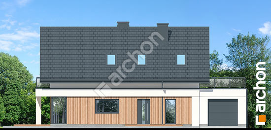 Передній фасад Будинок в шишковиках 4