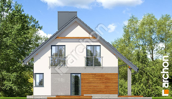 Боковой фасад Дом в малиновках 4 (П)