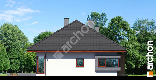 Бочний фасад Будинок під червоною горобиною (Н) вер. 2 