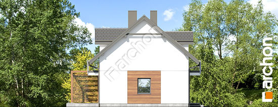 Боковой фасад Дом в химонантах 2 (Б)