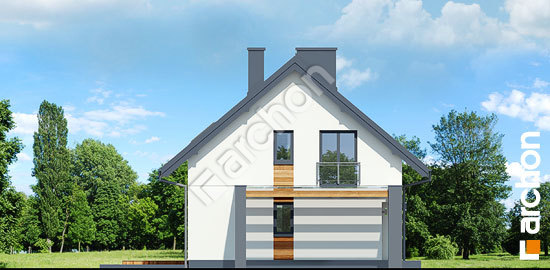 Боковой фасад Дом в малиновках 11 (А) вер. 2