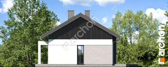 Бочний фасад Будинок в дабеціях