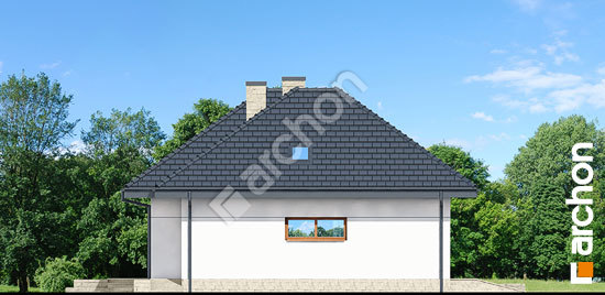 Бочний фасад Будинок в екзохорді