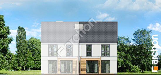 Дворовой фасад Дом под гинко 15 (ГБ)