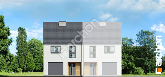 Передній фасад Будинок під гінко 15 (ГБ)